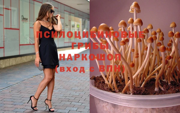 дживик Балабаново