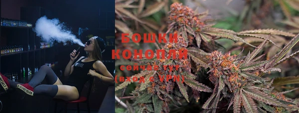 ПСИЛОЦИБИНОВЫЕ ГРИБЫ Баксан